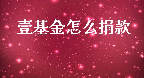 壹基金怎么捐款_https://www.apanben.com_国际财经_第1张