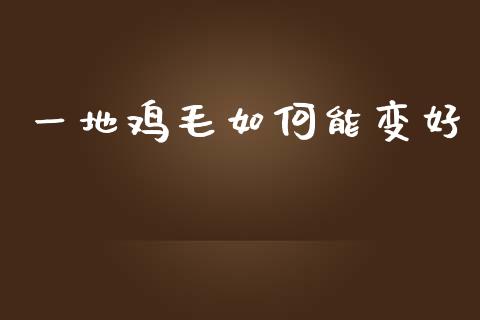 一地鸡毛如何能变好_https://www.apanben.com_期货学院_第1张