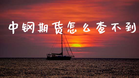 中钢期货怎么查不到_https://www.apanben.com_国际财经_第1张