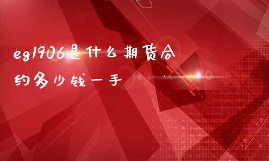 eg1906是什么期货合约多少钱一手_https://www.apanben.com_股市指导_第1张