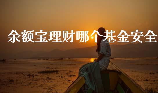 余额宝理财哪个基金安全_https://www.apanben.com_财经资讯_第1张