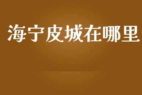 海宁皮城在哪里_https://www.apanben.com_期货学院_第1张