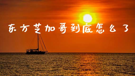 东方芝加哥到底怎么了_https://www.apanben.com_股票怎么玩_第1张