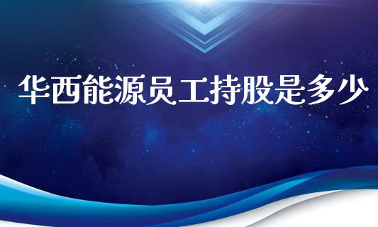 华西能源员工持股是多少_https://www.apanben.com_股市分析_第1张