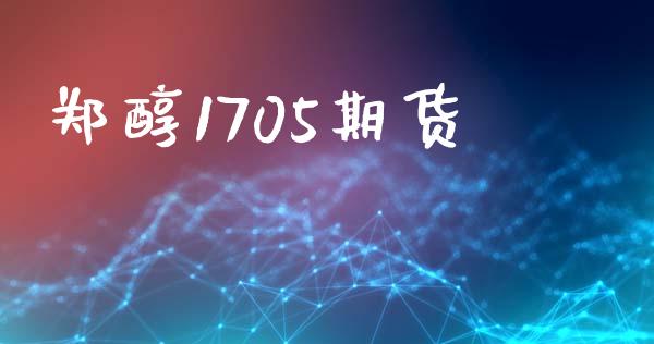 郑醇1705期货_https://www.apanben.com_股票怎么玩_第1张