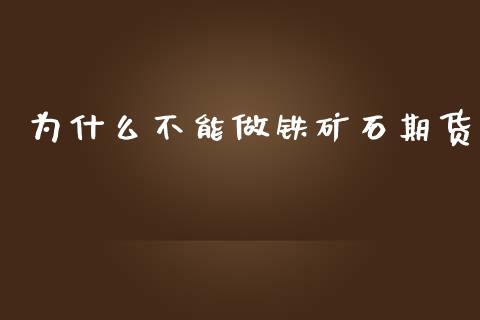 为什么不能做铁矿石期货_https://www.apanben.com_期货学院_第1张
