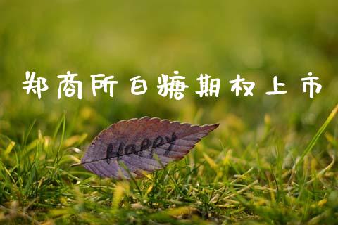郑商所白糖期权上市_https://www.apanben.com_国际财经_第1张