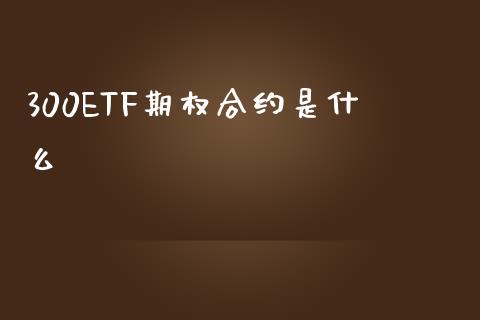 300ETF期权合约是什么_https://www.apanben.com_国际财经_第1张