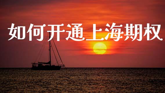 如何开通上海期权_https://www.apanben.com_在线喊单_第1张