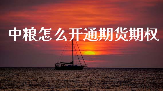 中粮怎么开通期货期权_https://www.apanben.com_国际期货_第1张