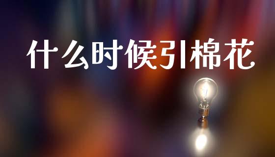 什么时候引棉花_https://www.apanben.com_在线喊单_第1张