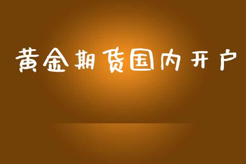 黄金期货国内开户_https://www.apanben.com_股票怎么玩_第1张
