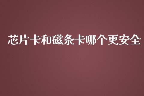 芯片卡和磁条卡哪个更安全_https://www.apanben.com_财经资讯_第1张