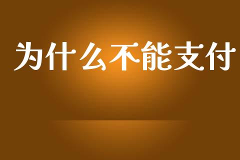 为什么不能支付_https://www.apanben.com_国际财经_第1张