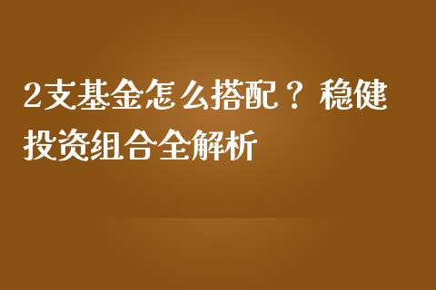 2支基金怎么搭配？ 稳健投资组合全解析_https://www.apanben.com_在线喊单_第1张