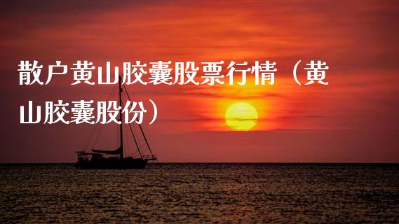 散户黄山胶囊股票行情（黄山胶囊股份）_https://www.apanben.com_股票怎么玩_第1张