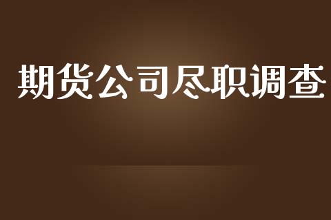 期货公司尽职调查_https://www.apanben.com_股市指导_第1张