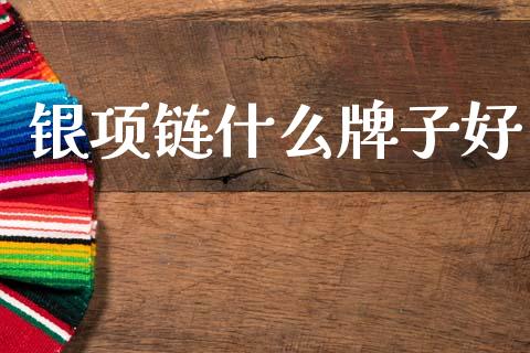 银项链什么牌子好_https://www.apanben.com_国际财经_第1张