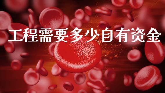 工程需要多少自有资金_https://www.apanben.com_股市分析_第1张