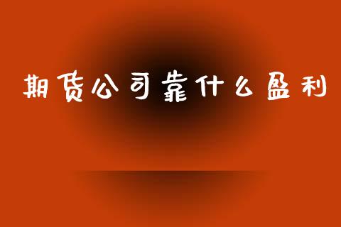 期货公司靠什么盈利_https://www.apanben.com_国际期货_第1张