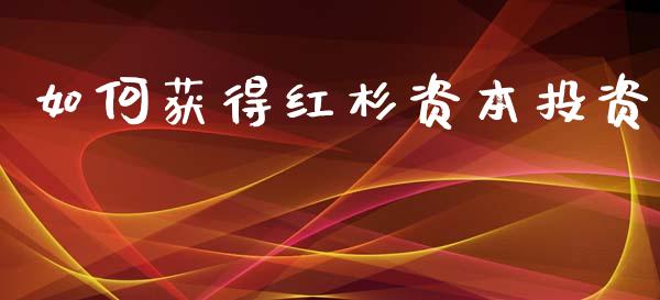 如何获得红杉资本投资_https://www.apanben.com_股市指导_第1张