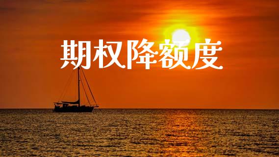 期权降额度_https://www.apanben.com_期货学院_第1张