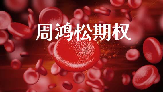 周鸿松期权_https://www.apanben.com_国际期货_第1张
