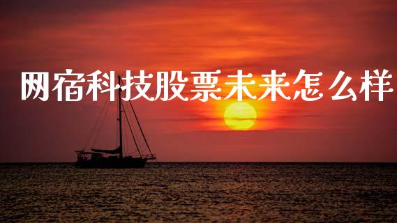 网宿科技股票未来怎么样_https://www.apanben.com_期货学院_第1张