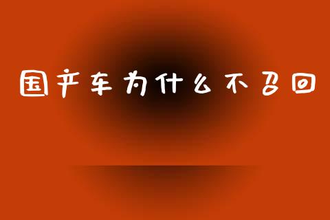 国产车为什么不召回_https://www.apanben.com_国际期货_第1张