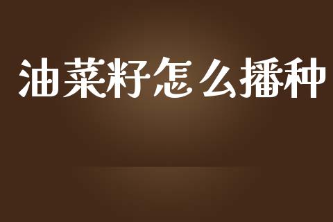 油菜籽怎么播种_https://www.apanben.com_股市指导_第1张