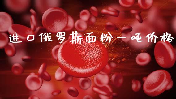 进口俄罗斯面粉一吨价格_https://www.apanben.com_在线喊单_第1张