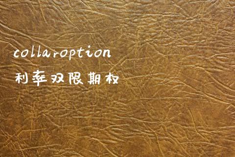collaroption利率双限期权_https://www.apanben.com_在线喊单_第1张