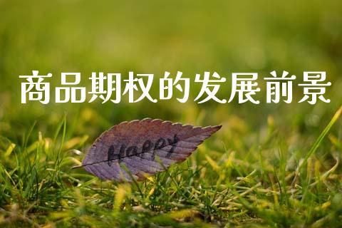 商品期权的发展前景_https://www.apanben.com_在线喊单_第1张