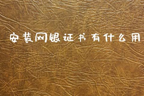 安装网银证书有什么用_https://www.apanben.com_国际财经_第1张