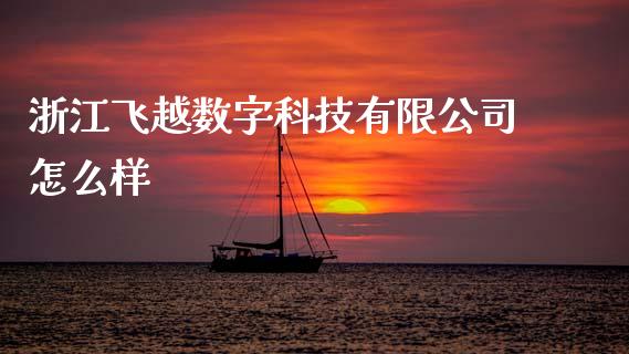 浙江飞越数字科技有限公司怎么样_https://www.apanben.com_股市分析_第1张