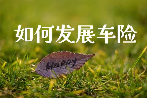 如何发展车险_https://www.apanben.com_在线喊单_第1张