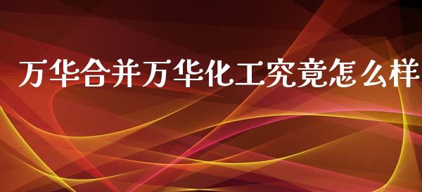 万华合并万华化工究竟怎么样_https://www.apanben.com_财经资讯_第1张
