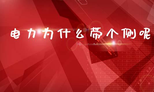 电力为什么带个侧呢_https://www.apanben.com_期货学院_第1张