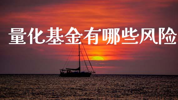 量化基金有哪些风险_https://www.apanben.com_期货学院_第1张