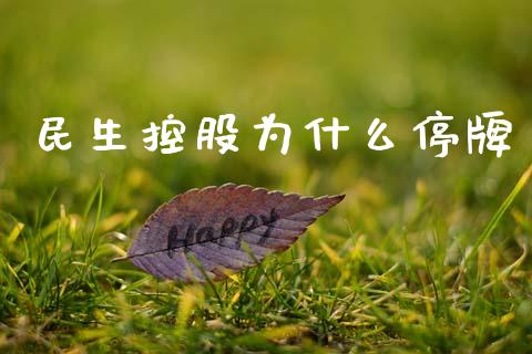 民生控股为什么停牌_https://www.apanben.com_期货学院_第1张