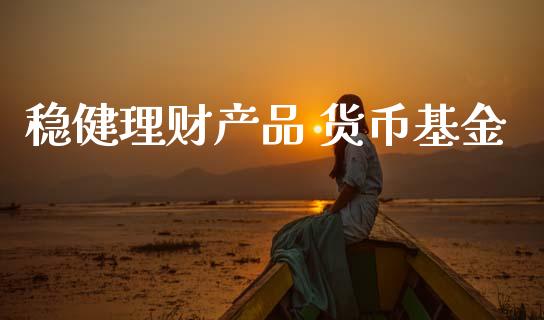 稳健理财产品 货币基金_https://www.apanben.com_财经资讯_第1张