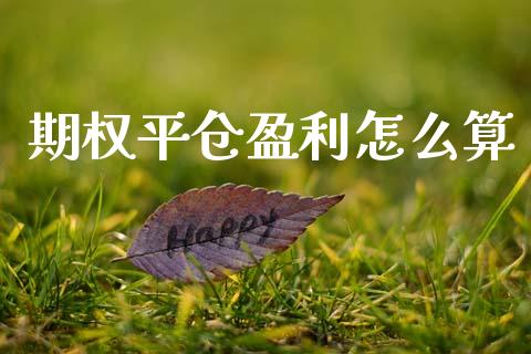 期权平仓盈利怎么算_https://www.apanben.com_股票怎么玩_第1张