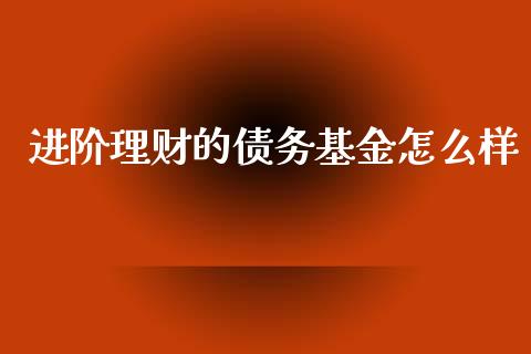 进阶理财的债务基金怎么样_https://www.apanben.com_国际财经_第1张