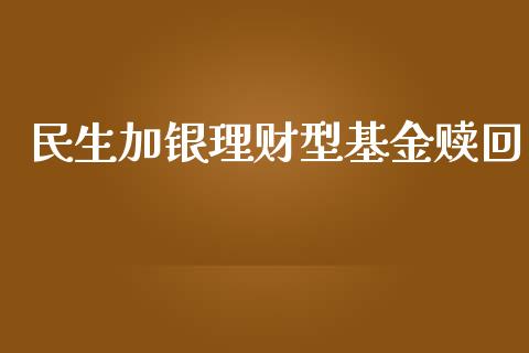 民生加银理财型基金赎回_https://www.apanben.com_国际财经_第1张