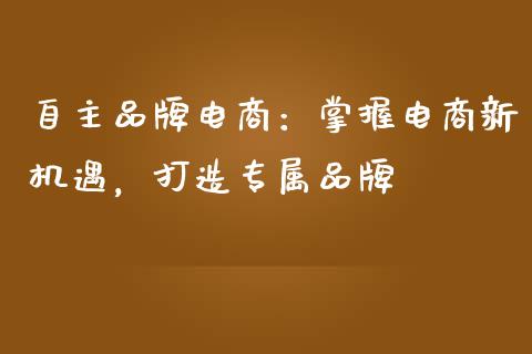 自主品牌电商：掌握电商新机遇，打造专属品牌_https://www.apanben.com_国际财经_第1张