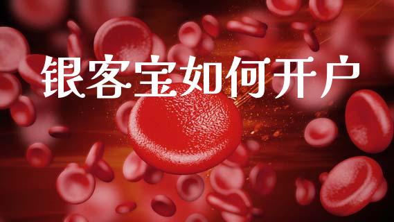 银客宝如何开户_https://www.apanben.com_在线喊单_第1张