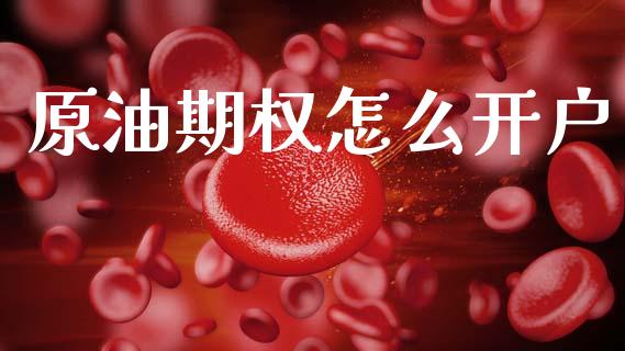 原油期权怎么开户_https://www.apanben.com_国际财经_第1张