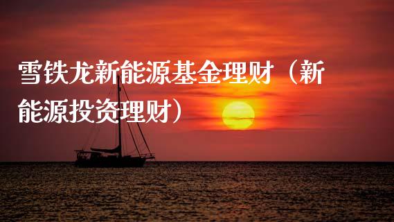 雪铁龙新能源基金理财（新能源投资理财）_https://www.apanben.com_财经资讯_第1张