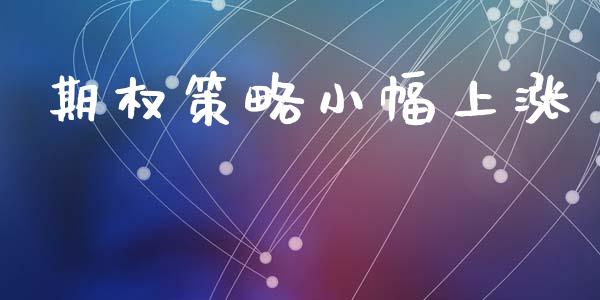 期权策略小幅上涨_https://www.apanben.com_股市指导_第1张