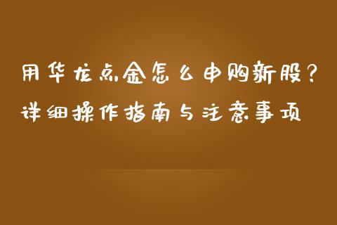用华龙点金怎么申购新股？详细操作指南与注意事项_https://www.apanben.com_期货学院_第1张